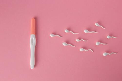 Intrauterine Insemination (IUI)