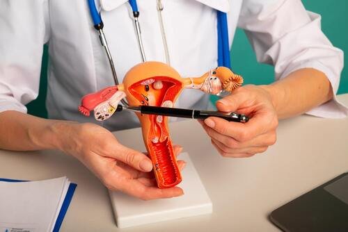Tuboplasty